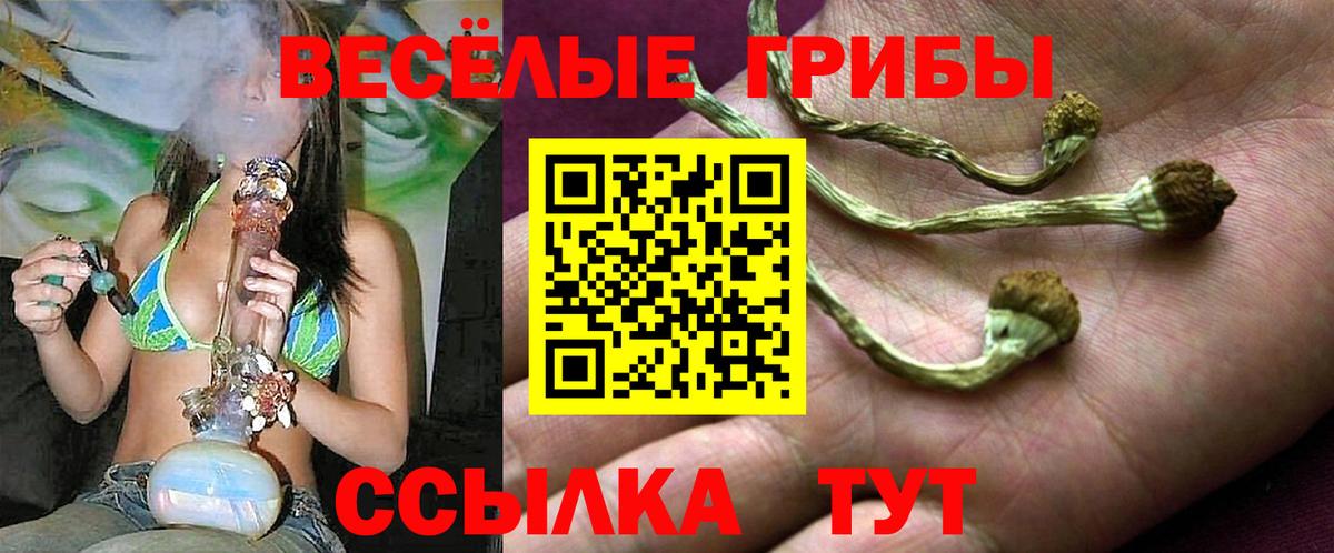 Галлюциногенные грибы Cubensis Лысьва